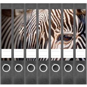 Etiketten für Ordner | Zebra Auge | 7 Aufkleber für schmale Ordnerrücken | Selbstklebende Design Ordneretiketten Rückenschilder