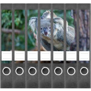 Etiketten für Ordner | Koalabär im Baum | 7 Aufkleber für schmale Ordnerrücken | Selbstklebende Design Ordneretiketten Rückenschilder