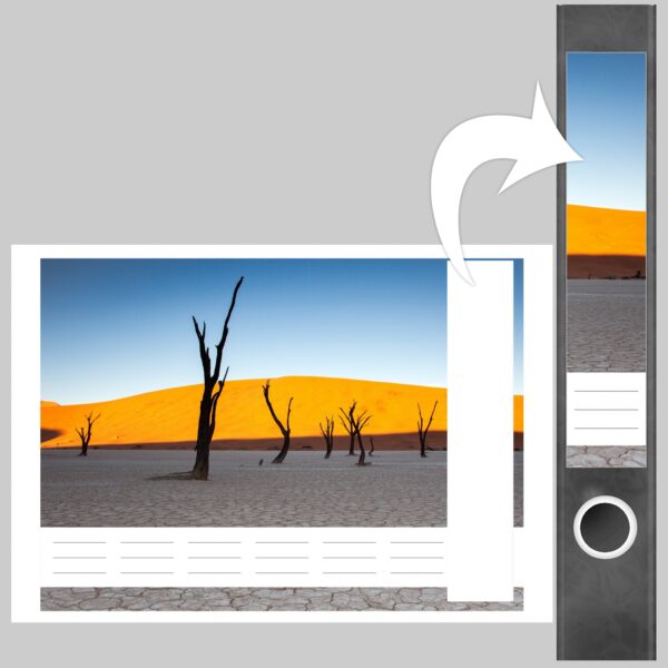 Etiketten für Ordner | Wüste Afrika | 7 Aufkleber für schmale Ordnerrücken | Selbstklebende Design Ordneretiketten Rückenschilder